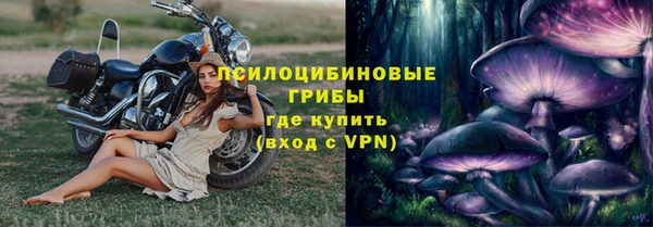 стафф Алексин