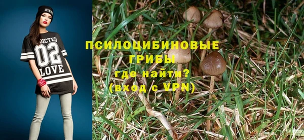 стаф Абаза