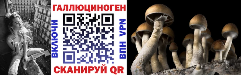 где купить наркоту  Болохово  кракен ТОР  Псилоцибиновые грибы Cubensis 